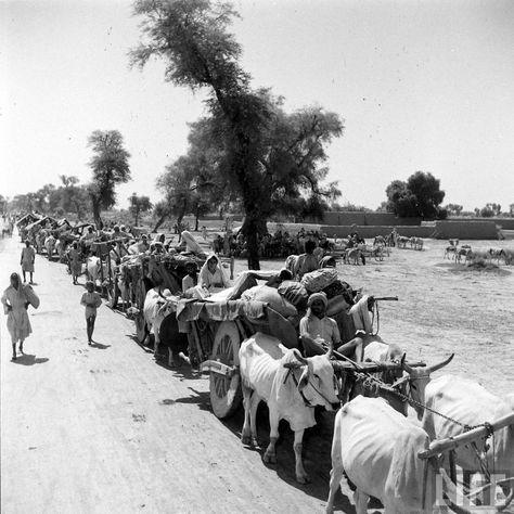 Rare Photos Of Partition Of India, 1947 India After Independence, 1947 India, Partition Of India, Historical India, History Of Pakistan, Mass Migration, India Independence, Vintage India, History Of India