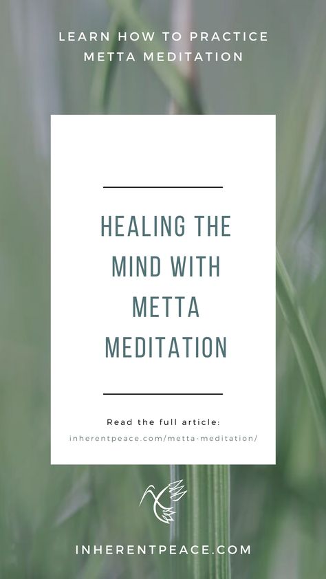 Metta meditation is a beautiful way to heal your mind so fear, sadness, and pain melt away. Visit our blog to read the article, and try this practice today with our guided meditation.  #mettameditation #metta #meditation #mindfulness #lovingkindness #lovingkindnessmeditation #meditations #meditationpractice Metta Meditation Script, Meta Meditation, Meditation For Healing, Practicing Meditation, Healing The Mind, Metta Meditation, Heal Your Mind, January Challenge, Meditation Scripts