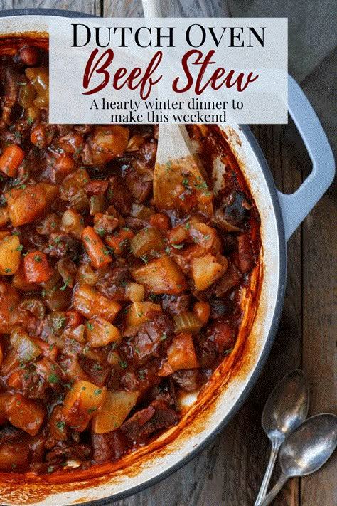 5 Hour Beef Stew, Beef Stew Recipe Oven, Dutch Oven Beef Stew, Cooking Stew Beef, Dutch Oven Beef, Oven Beef Stew, Easy Beef Stew, Dutch Oven Cooking, Dutch Oven Recipes