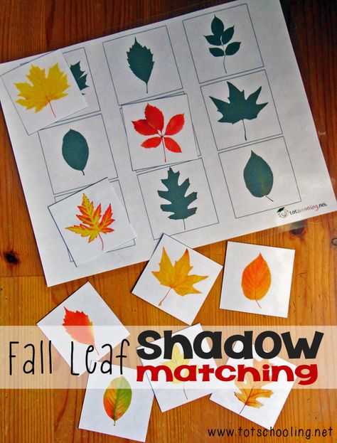 Fall Leaf Shadow Matching: Free Printable from Totschooling Fall Leaves Activities, Leaf Shadow, Shadow Matching, Fall Preschool Activities, Fall Lessons, Fun Fall Activities, Autumn Activities For Kids, Pre K Activities, Fall Preschool