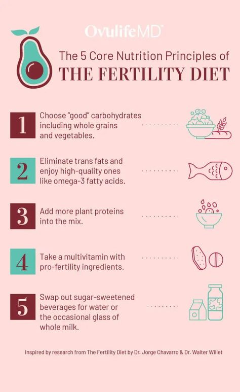 Woman's Health, Fertility Smoothie, Fertility Nutrition, Baby Dust, Food Myths, Increase Fertility, Fertility Tips, Fertility Foods, How To Get Pregnant