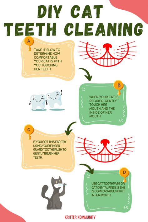 #DIYcatteethcleaning #catteethcleaning #cats #cat Cat Tips Indoor, Feline Dental Chart, Dental Hygiene Tips, Cat Owner Hacks, Cat Hygiene, Cat Care Tips Health, Cat Hygiene Tips, Bathing Cats Tips, Cat Care Tips Kittens