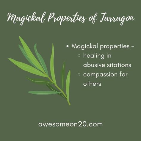 Tarragon Magical Properties, Weather Magick, Herb Pantry, Wiccan Tips, Witchy Plants, Magickal Tips, Herb Magick, Magickal Correspondences, Kitchen Magick