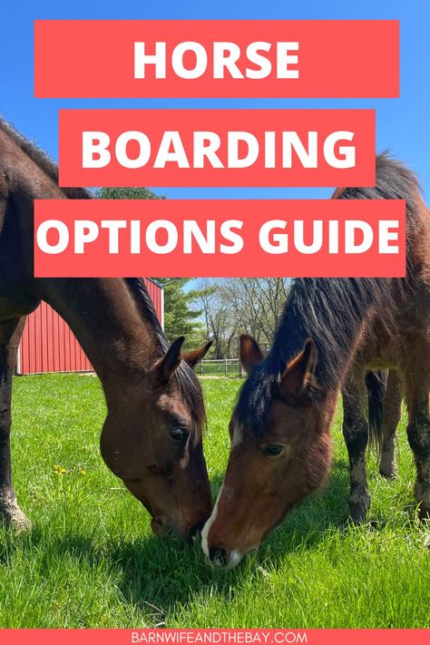 Guide for a new horse owner to every option you'll have for where to board your horse. How to choose a boarding barn, and how much it costs. | horse ownership | beginner’s guide to horses Horse Ownership For Beginners, Horse Business, Boarding Facility, Horse Ownership, Buy A Horse, Farm Lifestyle, Horse Boarding, Barn Ideas, Horse Owner