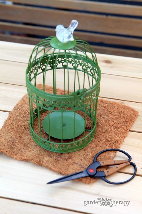 Wire Basket Ideas, French Vintage Furniture, Birdcage Planter, Hanging Wire Basket, Hanging Plants Diy, Hanging Bird Cage, Vintage Furniture Design, Garden Therapy, Window Box Flowers