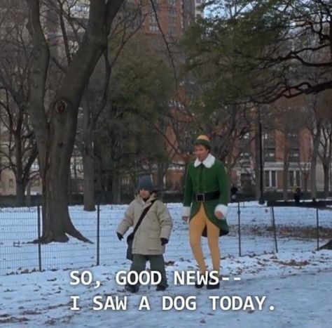 So, good news...I saw a dog today! #wildfoxcouture #elf Fair Quotes, Elf 2003, Elf Quotes, Elf Movie, Work Quotes Funny, Film Quotes, Holiday Movie, Funny Quotes About Life, Wholesome Memes