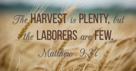 ‭Matthew‬ ‭9:37‭-‬38‬ ‭NLT‬ [37] He said to his disciples, “The harvest is great, but the workers are few. [38] So pray to the Lord who is in charge of the harvest; ask him to send more workers into his fields.” The Harvest, The Lord, Quotes, Quick Saves