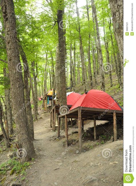 Tent Platform, Tree House Designs, Camping Table, Camping Area, Camping Glamping, Free Camping, Family Camping, Cabins In The Woods, Camping Hacks