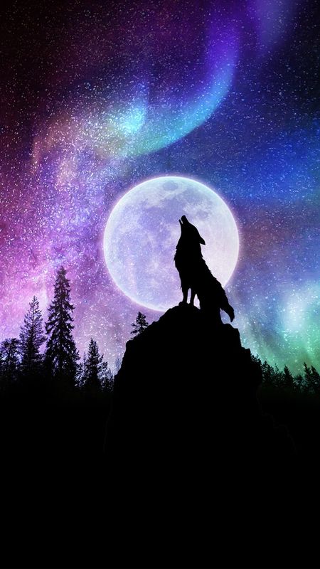 Galaxy Wolf, Wolf Background, Wild Animal Wallpaper, Wolf Photography, Wolf Artwork, Wolf Painting, Fantasy Wolf, Wolf Photos, Wolf Spirit Animal