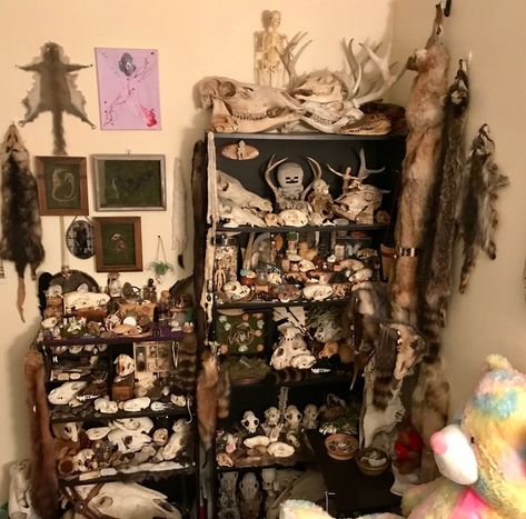 Room Aesthetic White, Bone Collecting, Hippie Bedroom Decor, Oddities Decor, Hippie Bedroom, Taxidermy Art, Bone Crafts, Vulture Culture, Bone Art