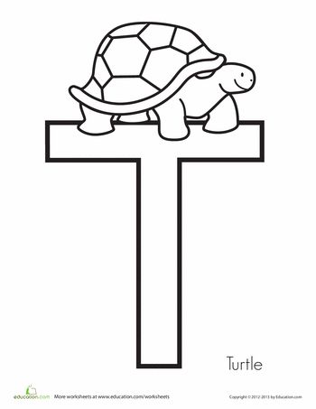 Worksheets: T is for Turtle Turtle Lesson Plans Preschool, T Is For, Preschool Letter T, T Is For Turtle, Letter T Crafts, Letter T Activities, Turtle Activities, Classroom Pets, Turtle Theme