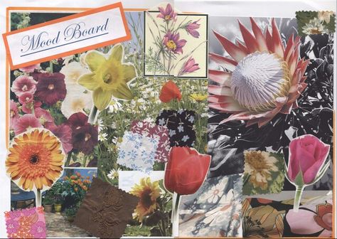 Floral mood board Gsce Art Mood Board, Floral Inspiration Board, Natural Form Mood Board, Natural Forms Mood Board Gcse, Natural Forms Mood Board, Decaying Art, Art Gcse Mood Board, Gcse Art Mood Board, Botanical Textiles