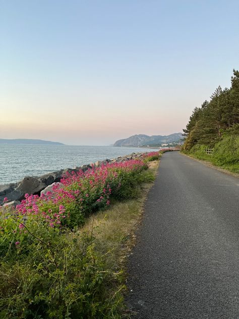 Flowers Beach, Mountain Aesthetic, Mountains Aesthetic, Coastal Life, Europe Summer, Ocean Sunset, Beautiful Images Nature, Coastal Beaches, Summer Bucket Lists