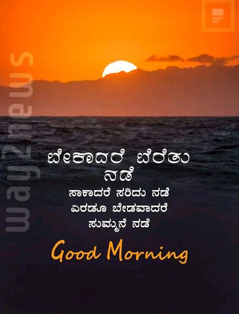 Good Morning Kannada Quotes Images, Good Morning Kannada, Kannada Quotes, Good Night Flowers, Good Morning Image Quotes, Night Flowers, Morning Wishes Quotes, Wish Quotes, Wishes Quotes