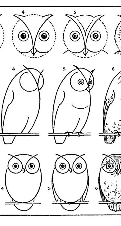 Free Vintage Printable How to Draw Owls Activity Page. Graphics Fairy Owl Drawing Simple, Draw An Owl, Painted Rock Animals, Drawing Lesson, Cute Illustrations, Owls Drawing, Owl Crafts, Painted Rocks Diy, Graphics Fairy