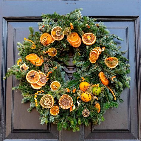 Wreath Orange Slices, Williamsburg Christmas Wreath, Wreath Decorating Contest, Charleston Christmas, Christmas Wreath Designs, Williamsburg Christmas, Cedar Wreath, Fruit Wreath, Floral Door Wreaths