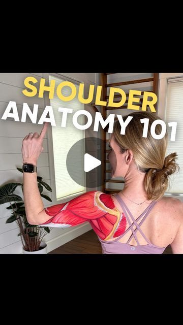 Rotator Cuff Muscles Anatomy, Shoulder Muscles Anatomy, Shoulder Pain Relief Rotator Cuff, Isolated Exercises, Muscle Spasms Relief, Reverse Shoulder Replacement, Rotator Cuff Muscles, Shoulder Muscle Pain, Strengthen Shoulders