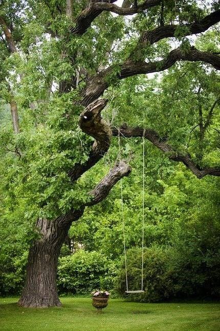 I want to swing on this swing in my backyard Tree Swing, Large Tree, Have Inspiration, The Secret Garden, Big Tree, Beautiful Tree, Dream Garden, A Tree, Secret Garden