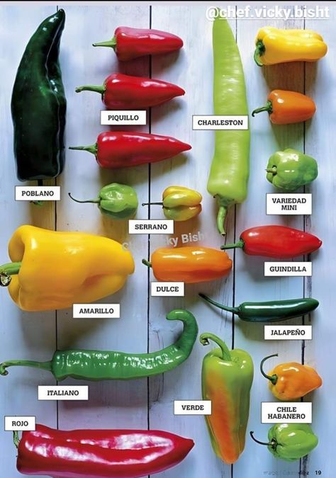 Fruits And Vegetables List, Types Of Peppers, Hot Sauce Recipes, نباتات منزلية, Candy Land Christmas Decorations, Food Info, Cooking Basics, Food Facts, African Food