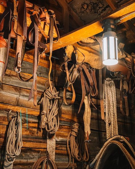 1800s Ranch House, Wyoming Cattle Ranch, Ranch House Aesthetic Interior, Canada Ranch Aesthetic, Cattle Ranch Aesthetic, Ranch Hand Aesthetic, Emmie Sperandeo, Ranching Aesthetic, Hillbilly Halloween