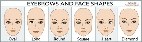 Learn how the right eyebrows shape would ultimate your look | by Tracy Do at Permanent Pretty High Arch Eyebrows, Eyebrows For Oval Face, Eyebrows For Face Shape, Round Eyebrows, Eyebrows Shape, Membentuk Alis, Long Face Shapes, Diamond Face Shape, Permanent Eyebrows