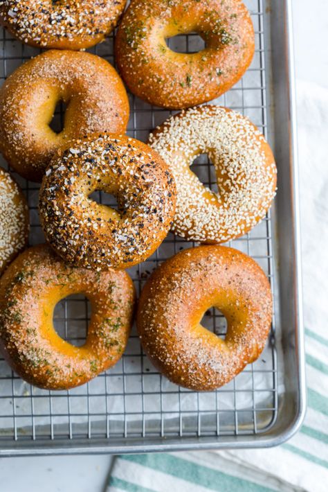 Best Bagel Recipe, Sesame Bagel, Everything Bagels, Bagels Recipe, Best Bagels, Homemade Bagels, Bagel Recipe, Yeast Bread, Baking Blog