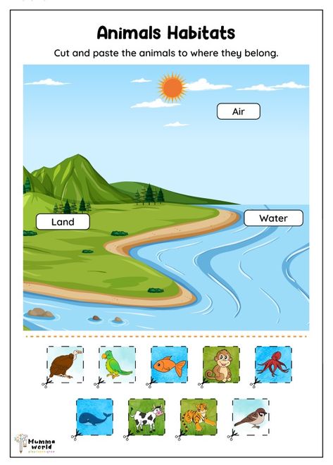 Animals Habitats Worksheet 9CD Animal Unit Kindergarten, Land Water Air Animals Worksheet, Where Animals Live Worksheet, Animals And Habitats Activities, Where Do Animals Live Worksheet, Animals Habitats Activities, Land Animals Worksheet, Animal Habitats Activities For Kids, Land Animals Preschool Activities