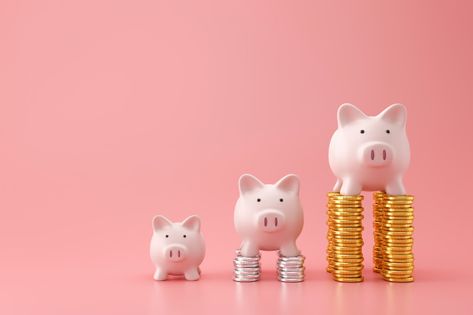 Saving Money Piggy Bank Aesthetic, Pink Piggy Bank Aesthetic, Financial Planning Aesthetic, Piggy Bank Aesthetic, Saving Money Piggy Bank, Ac Villager, Money Pig, Anti Consumerism, Dream Building