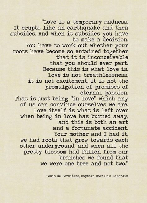 "Love is a temporary Madness" This is beautiful Words Love, Wonderful Words, Quotable Quotes, What Is Love, Pretty Words, The Words, Great Quotes, Beautiful Words, Wise Words