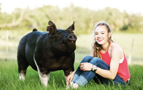 Show Pig Photography, Livestock Photography Senior Pics, Livestock Senior Pictures Pigs, Pig Photoshoot, Livestock Senior Pictures, Farm Senior Pictures, Piggy Pictures, Livestock Photography, Pig Pics