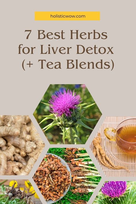 Looking for herbs for liver detox that really work? Here's what you need: proven herbs, easy tea recipes, and crucial safety tips. As experienced herbalists, we'll show you how to support your liver without harsh cleanses. Herbs For Liver Cleanse, Diy Liver Cleanse, Detoxing Herbs, Herbs For Liver, Liver Cleanse Tea, Natural Liver Detoxification, Liver Herbs, Liver Tea, Liver Detox Tea