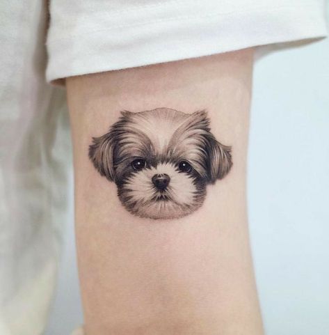 Small Dog Face Tattoo, Shih Tzu Tattoos, Shitzu Tattoos, Shih Tzu Tattoo Minimalist, Puppy Prints Tattoo, Shihtzu Tattoos, Shih Tzu Tattoo, Puppy Tattoo, Pet Tattoos