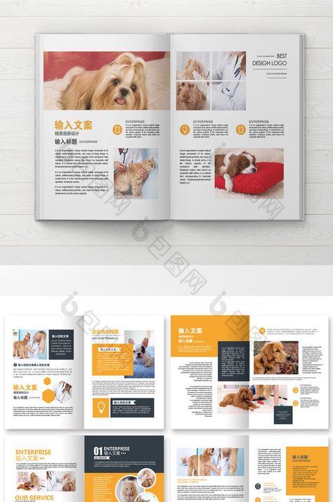 Cat Magazine Layout, Pet Magazine Layout, Dog Magazine Layout, Animal Magazine Design, Animal Magazine Layout, Pet Brochure, Design Supermarket, Ebook Layout, Typography Editorial