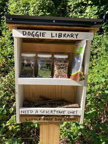 Column: Dog libraries are kind, welcome gesture Neighborhood Dog Treat Station, Dog Library Take A Stick Leave A Stick, Dog Library, Home Dog Park, Plant Exchange Ideas, Outdoor Dog Treat Station, Stick Library For Dogs, Dog Home Ideas, Cute Dog Houses Outdoor