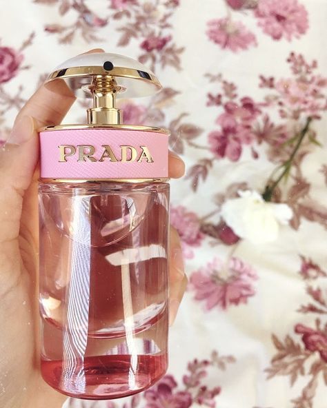 Born In Roma Intense, Valentino Donna Born In Roma, Koleksi Parfum, Collection Perfume, Born In Roma, Prada Candy, Perfume Organization, Fragrances Perfume Woman, Pink Perfume