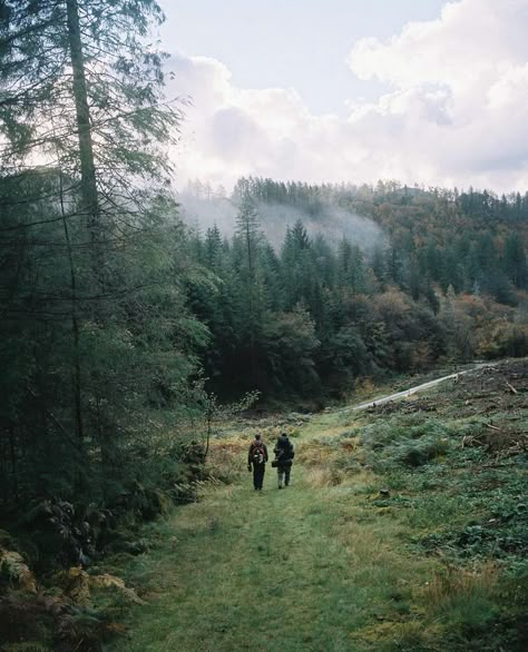 Forestry Major Aesthetic, Bushwalk Aesthetic, Adventuring Aesthetic, Adventure Astethic, Explore Aesthetic, Neofolk Aesthetics, Forest Hiking, Forest Images, Adventurous Aesthetic