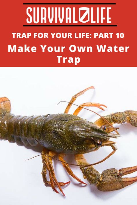 Check out Trap For Your Life: Part 10 | Make Your Own Water Trap at https://survivallife.com/make-own-water-trap/ Crawfish Traps, Washed Up On Shore, Fishing Line Knots, Fly Fishing Knots, Survival Fishing, Source Of Protein, Emergency Preparation, Survival Techniques, Fishing Knots