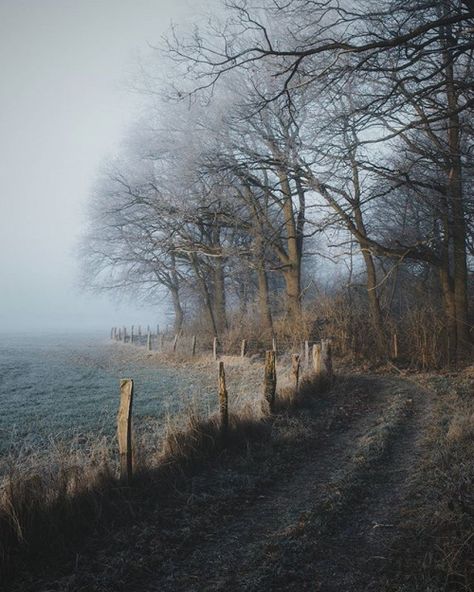 wabisabimind:Remo Jacobs Era Victoria, Snake Oil, Autumn Scenery, Dirt Road, Arte Fantasy, To Infinity And Beyond, Winter Aesthetic, Pretty Places, Country Life