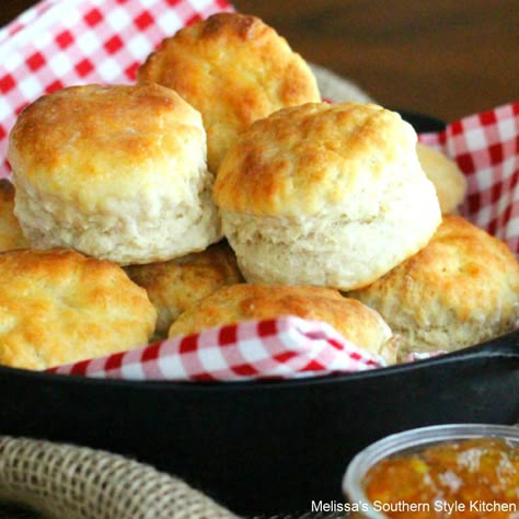 Best Biscuit Recipe, Southern Buttermilk Biscuits, Easy Homemade Biscuits, Buttermilk Biscuit, Homemade Biscuits Recipe, Easy Biscuit Recipe, Homemade Buttermilk Biscuits, Southern Biscuits, Buttermilk Biscuits Recipe