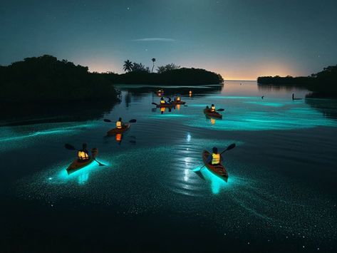 Bioluminescent Algae, Indian River Lagoon, Family Beach Trip, Kayak Adventures, Beach Cruise, Kayak Tours, Indian River, Visit Florida, Costa Rica Travel