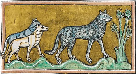 A wolf with cubs from the Rochester Bestiary, c.1230 (not Anglo-Saxon). Royal 12 F.XIII, f.29 © British Library Board/Bridgeman Images. Wolf With Cubs, Medieval Literature, Medieval Cosplay, Medieval Artwork, The Werewolf, Illustrated Manuscript, Medieval England, Wolf Illustration, Medieval Manuscript