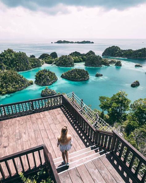 Raja Ampat Islands, Bali Travel Photography, Beach Poses By Yourself Photo Ideas, Reef Fish, West Papua, Raja Ampat, Shady Tree, Mangrove Forest, Breathtaking Places