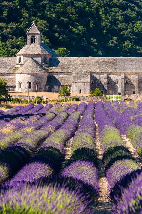 Provence Photography, Provence Lavender Fields, Watercolour Landscapes, France Summer, France Provence, Juan Les Pins, Provence Lavender, Digital Nomad Life, France Photography