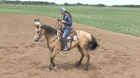 Barrel Racing Workout, Barrel Racing Tips For Beginners, Barrel Racing Exercises Training, Horse Training Exercises Barrel Racing, Barrel Racing Exercises, Quarter Horse Barrel Racing, Horse Projects, Barrel Horses, Western Horse Riding