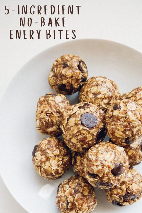 These 5-ingredient Vegan No-Bake Oatmeal Chocolate Chip Energy Bites are the perfect healthy snack to have on hand! Made with ingredients you likely already have on hand like oatmeal, chocolate chips, and peanut butter. These will become a staple in your kitchen. Enjoy! #vegan #nobake #energybites #snackideas #healthysnacks #snack #recipe #oatmeal #chocolactechip #blissballs Chocolate Chip Energy Bites, Chocolate Chips And Peanut Butter, Oatmeal Chocolate Chips, Oatmeal Snacks, Bake Oatmeal, Oatmeal Bites, Peanut Butter Energy Bites, Granola Bites, Rabbit Family