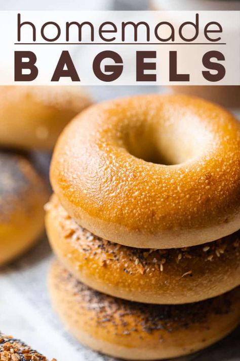 Fast Rising Yeast Recipes, Easy Few Ingredient Breakfast, Egg Bagels Recipe Homemade, Recipes For Bagels, Recipe For Bagels, Nyc Bagels Recipe, Easy Homemade Bagels Recipes, Plain Bagels Recipe Homemade, Soft Bagel Recipe