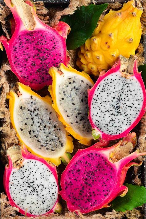 Como Plantar Pitaya, Dragon Fruit Tree, Dragon Fruit Benefits, Yellow Dragon Fruit, Dragon Fruit Plant, Buah Naga, Fruit Du Dragon, Yellow Dragon, Fruit Photography