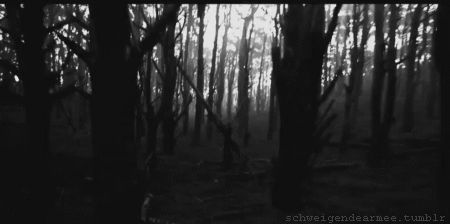 Emo Gif, Horror Gif, Witch Gif, Gif Black, White Gif, Merle Dixon, Black And White Gif, Anime Kiss Gif, Wood Banner