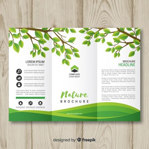 Triflod nature brochure template Free Vector | Premium Vector #Freepik #vector # # # # Sustainability Brochure, Nature Brochure, Brochure Design Creative, Brochure Design Layout, Trifold Brochure Design, Graphic Design Brochure, Free Brochure Template, Leaflet Design, Background Design Vector