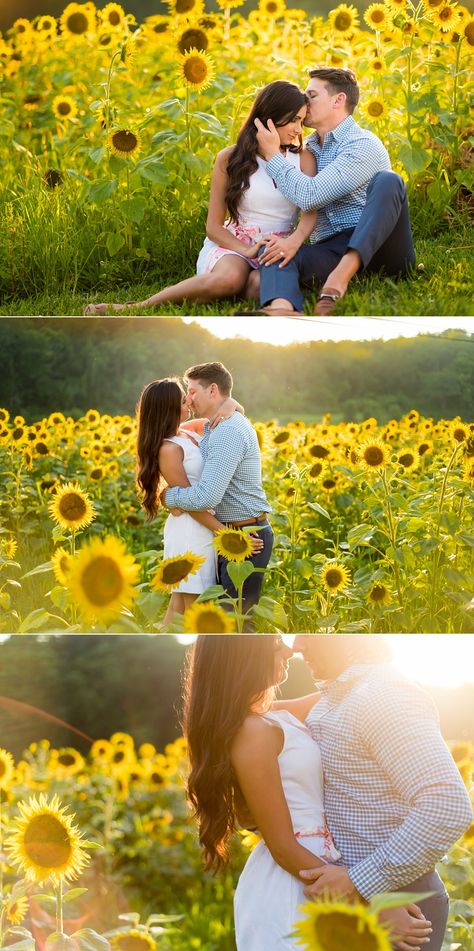 Field Engagement Photos, Sunflower Photography, Sunflower Themed Wedding, Baby Fotografie, Sunflower Photo, Sunflower Pictures, Wedding Flowers Summer, Sunflower Field, Foto Poses